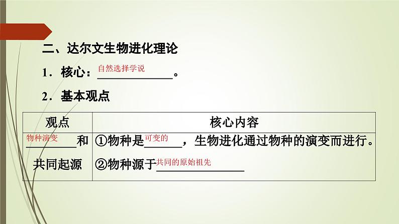 2023-2024学年 必修2 苏教版 拉马克和达尔文生物进化理论  课件06
