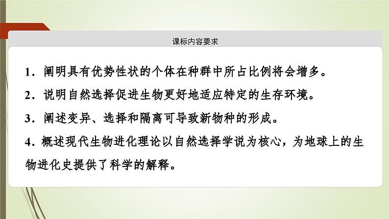 2023-2024学年 必修2 苏教版 现代生物进化理论以自然选择学说为核心  课件第2页