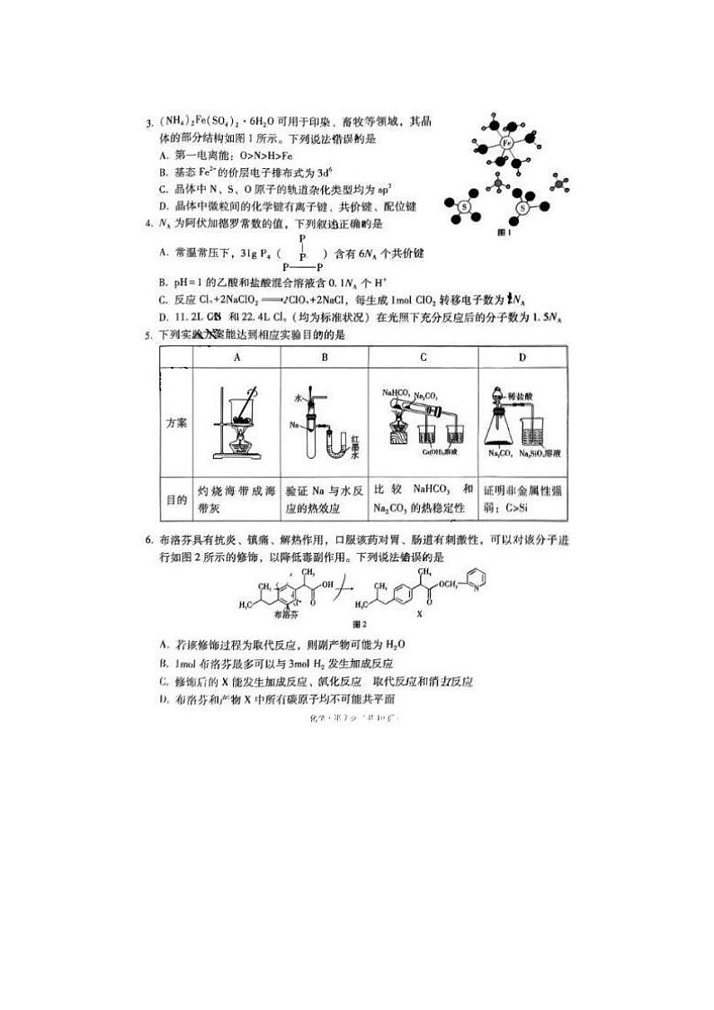 2024届“3+3+3”高考备考诊断性联考生物试题第2页