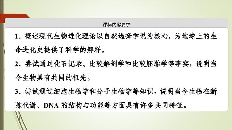 2023-2024学年 必修2 苏教版 第二节生物的多样性和适应性是进化的结果  课件第2页