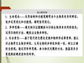 2023-2024学年 必修2 苏教版 第二节生物的多样性和适应性是进化的结果  课件