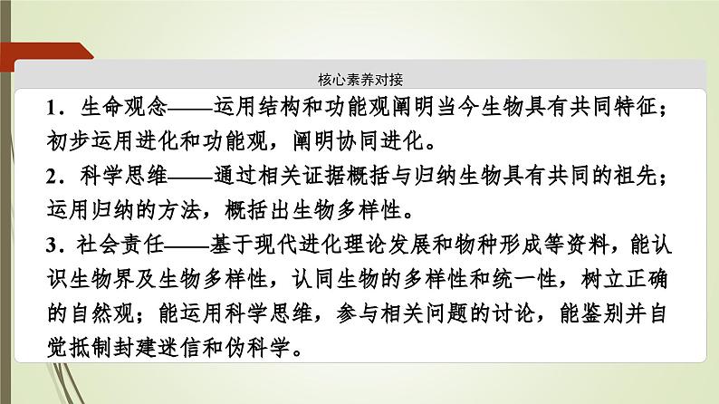 2023-2024学年 必修2 苏教版 第二节生物的多样性和适应性是进化的结果  课件第3页