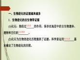 2023-2024学年 必修2 苏教版 第二节生物的多样性和适应性是进化的结果  课件