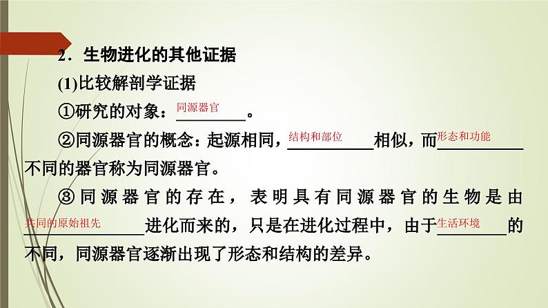 2023-2024学年 必修2 苏教版 第二节生物的多样性和适应性是进化的结果  课件第6页