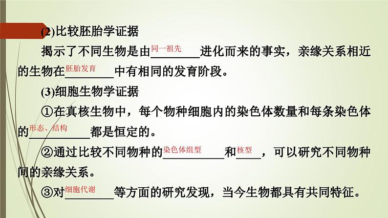 2023-2024学年 必修2 苏教版 第二节生物的多样性和适应性是进化的结果  课件第7页