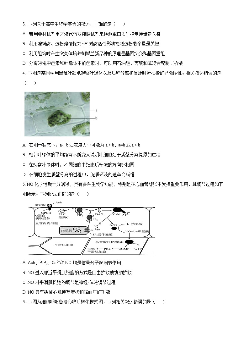 2024届江苏省连云港市高三考前模拟（一）生物试题（原卷版）第2页