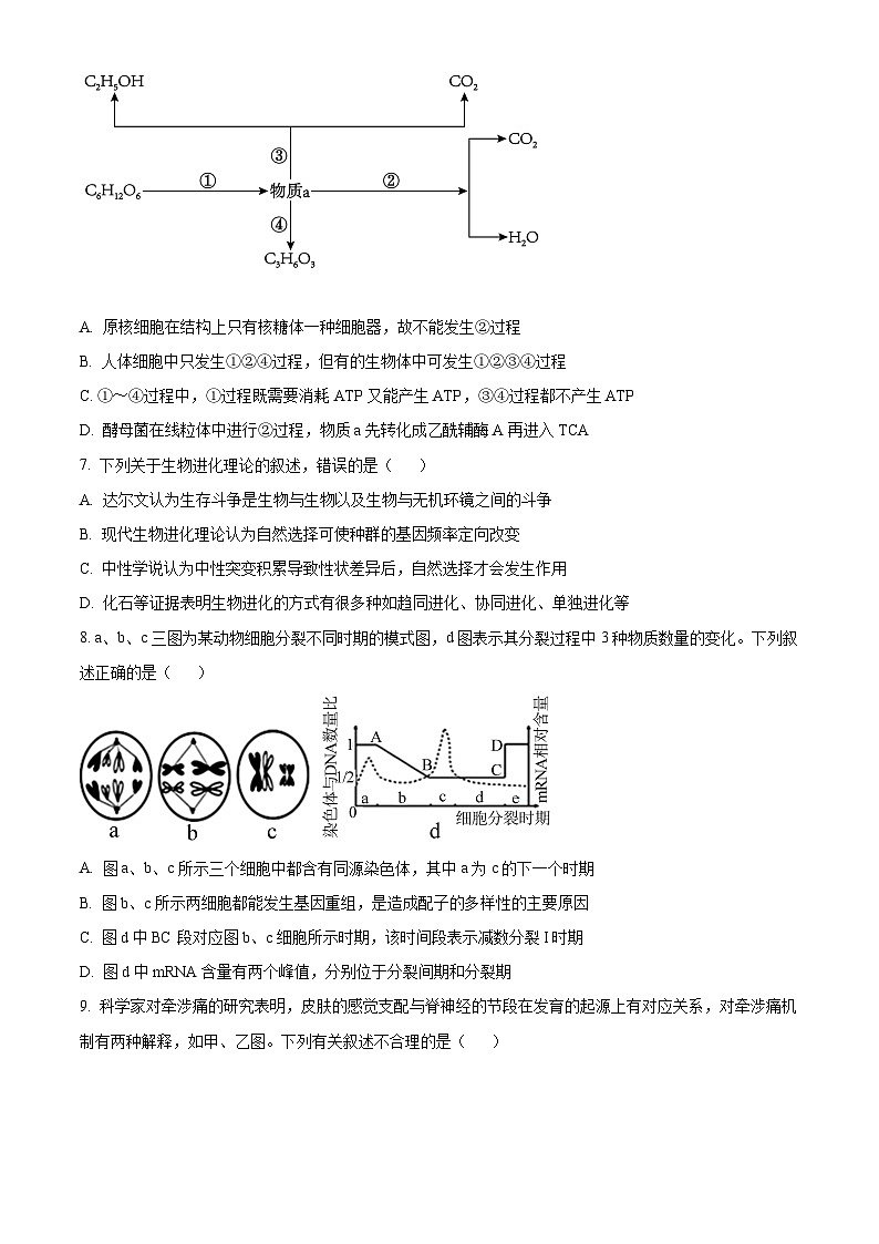 2024届江苏省连云港市高三考前模拟（一）生物试题（原卷版）第3页