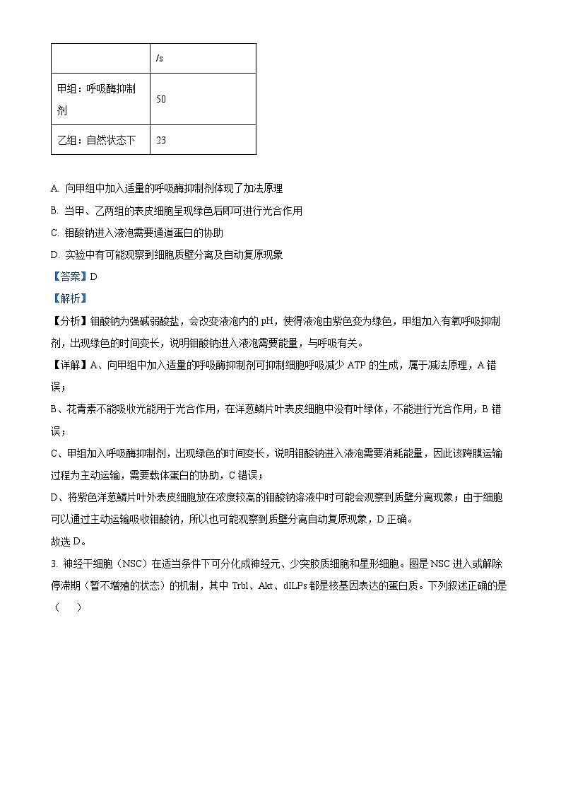 2024届重庆市部分学校高三下学期5月巴渝名校联合考试生物试卷（解析版）第2页
