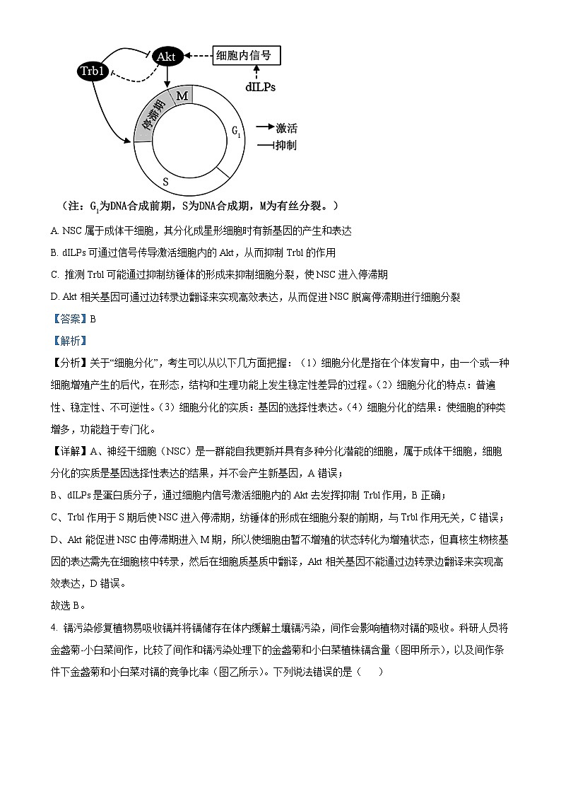 2024届重庆市部分学校高三下学期5月巴渝名校联合考试生物试卷（解析版）第3页
