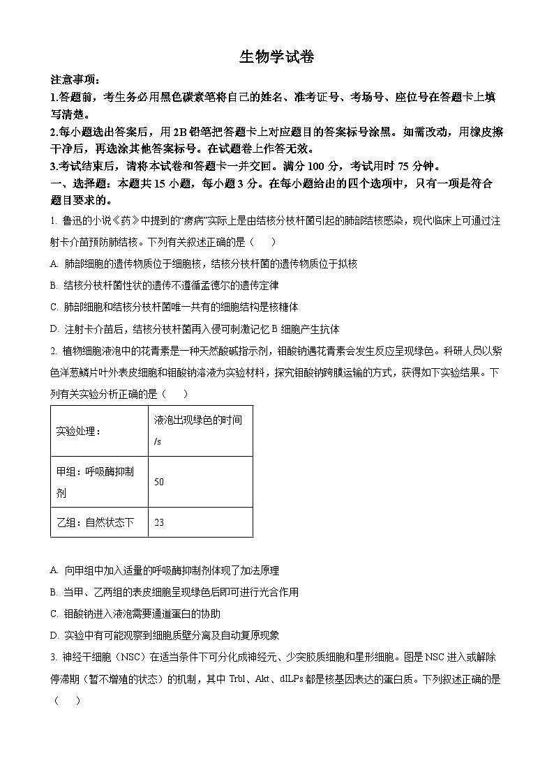 2024届重庆市部分学校高三下学期5月巴渝名校联合考试生物试卷（原卷版）第1页