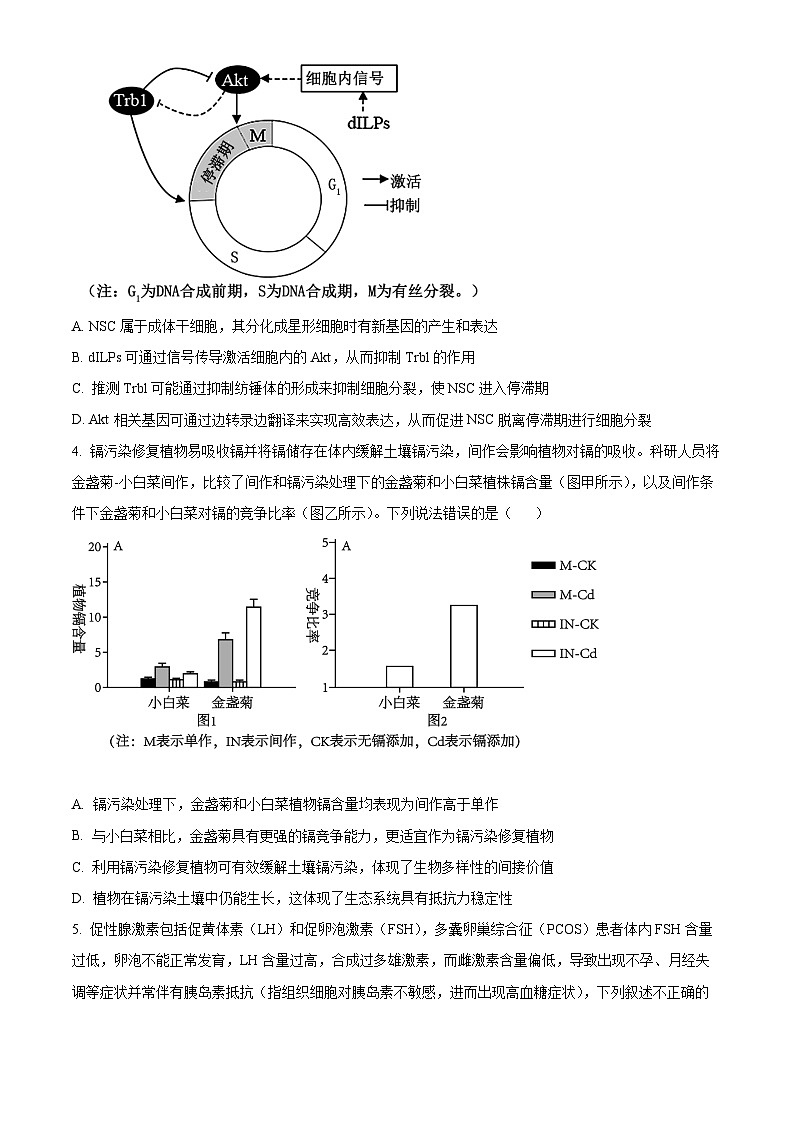 2024届重庆市部分学校高三下学期5月巴渝名校联合考试生物试卷（原卷版）第2页