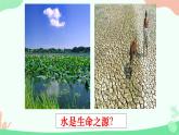【核心素养】人教版高中生物必修一2.2《细胞中的无机物》课件＋课时练习＋教案（含教学反思）