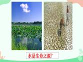 【核心素养】人教版高中生物必修一2.2《细胞中的无机物》课件＋课时练习＋教案（含教学反思）
