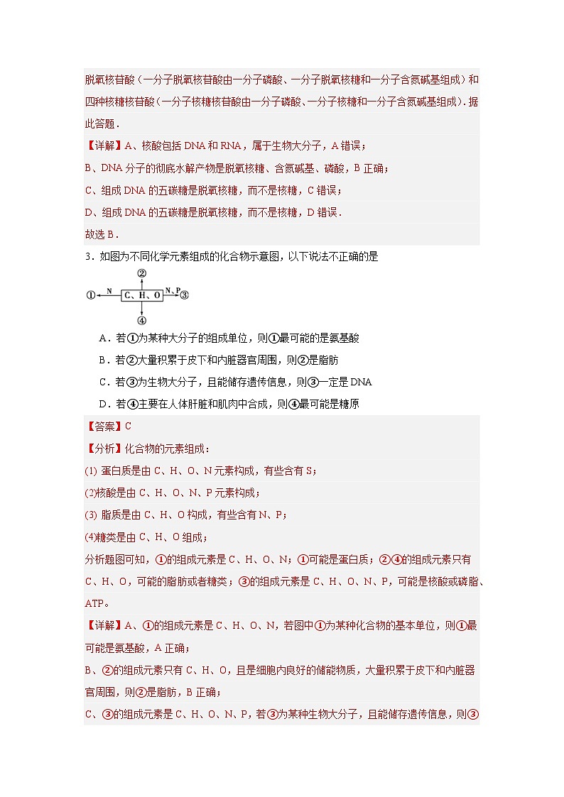 【核心素养】人教版高中生物必修一2.5《核酸是遗传信息的携带者》课件＋课时练习＋教案（含教学反思）02