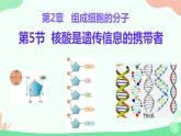 【核心素养】人教版高中生物必修一2.5《核酸是遗传信息的携带者》课件＋课时练习＋教案（含教学反思）