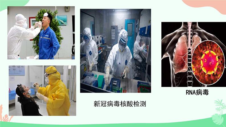 【核心素养】人教版高中生物必修一2.5《核酸是遗传信息的携带者》课件＋课时练习＋教案（含教学反思）04