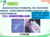 【核心素养】人教版高中生物必修一2.5《核酸是遗传信息的携带者》课件＋课时练习＋教案（含教学反思）