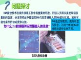 【核心素养】人教版高中生物必修一2.5《核酸是遗传信息的携带者》课件＋课时练习＋教案（含教学反思）