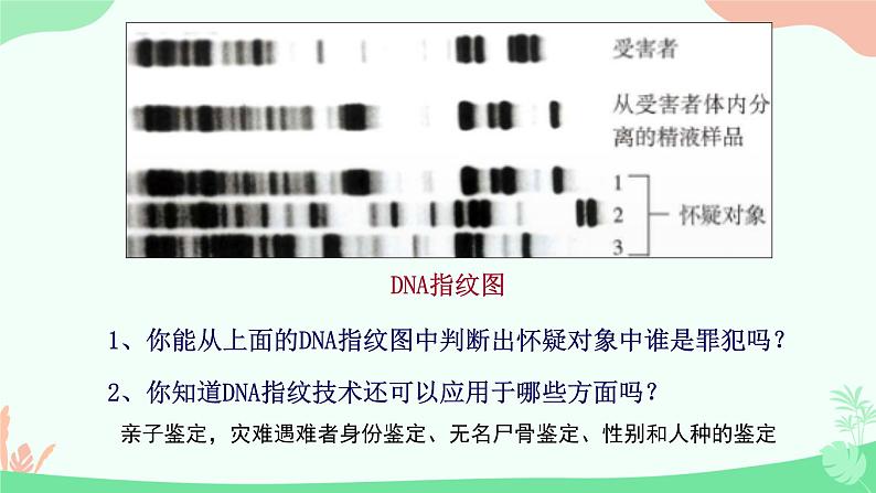 【核心素养】人教版高中生物必修一2.5《核酸是遗传信息的携带者》课件＋课时练习＋教案（含教学反思）06