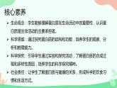 【核心素养】人教版高中生物2.4《蛋白质是生命活动的主要承担者》课件＋课时练习＋教案（含教学反思）