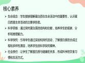 【核心素养】人教版高中生物2.4《蛋白质是生命活动的主要承担者》课件＋课时练习＋教案（含教学反思）