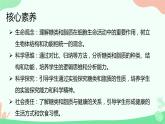【核心素养】人教版高中生物必修一2.3《细胞中的糖类和脂质》课件＋课时练习＋教案（含教学反思）