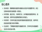 【核心素养】人教版高中生物必修一2.3《细胞中的糖类和脂质》课件＋课时练习＋教案（含教学反思）