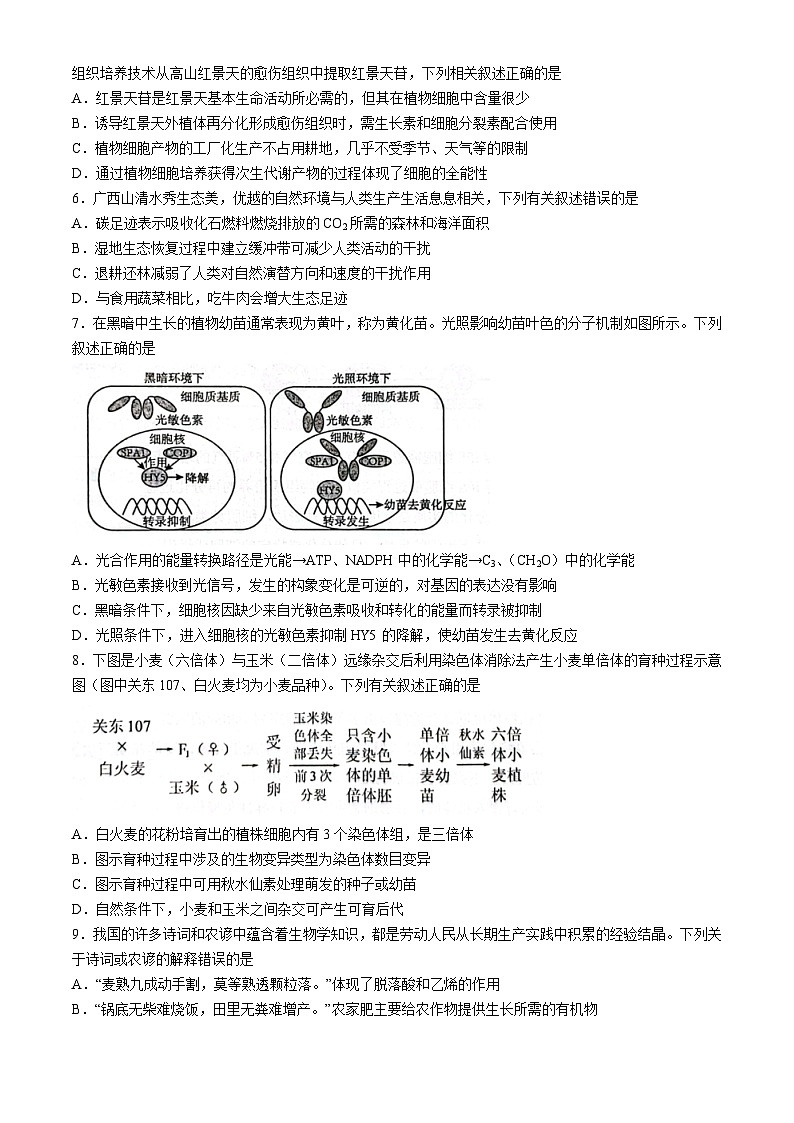 广西三新学术联盟百校联考2024届高三下学期5月三模试题生物含答案02