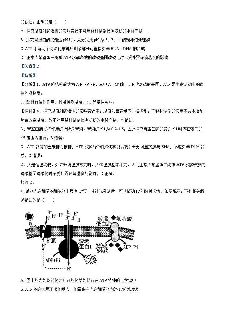 2024年吉林省普通高中学业水平选择性考试冲刺压轴卷（四）生物学试题（解析版）第3页
