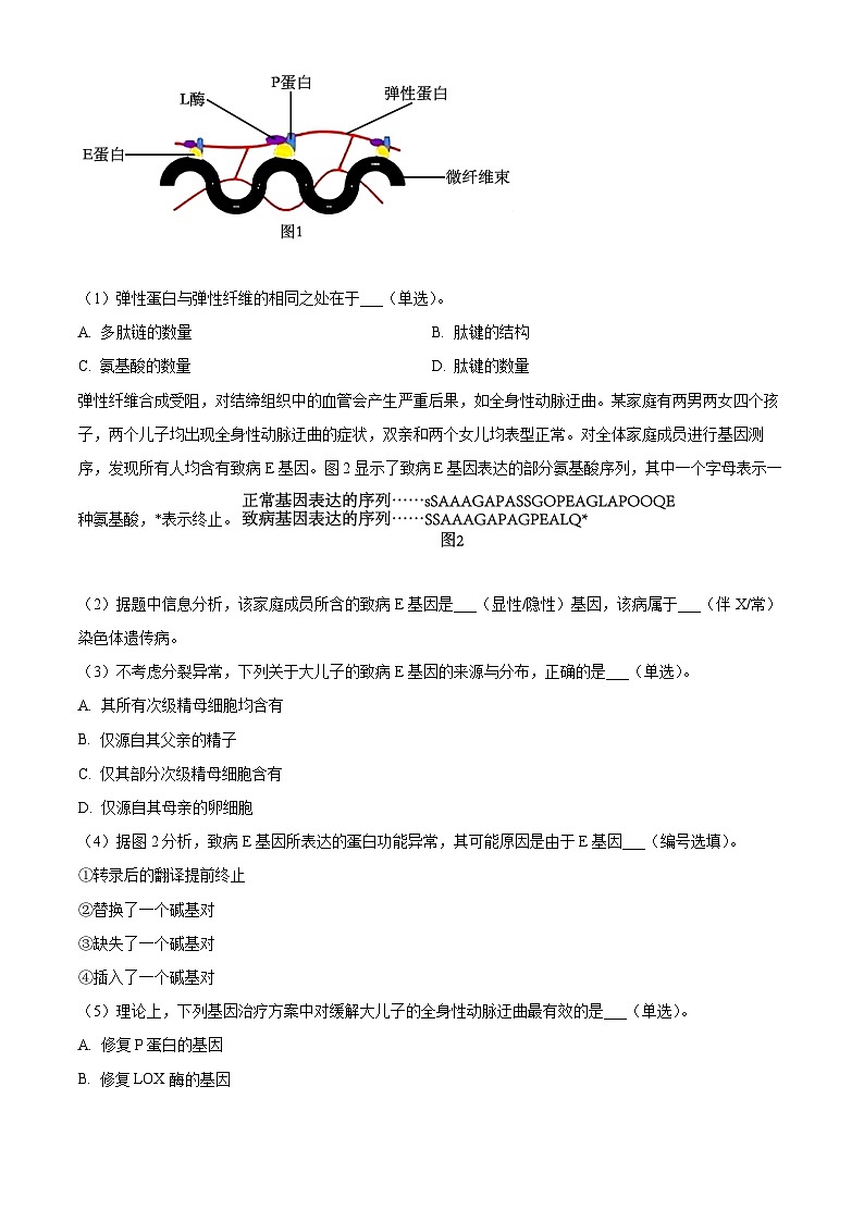 2024年上海市高中学业水平等级考试生物试题（原卷版+解析版）03