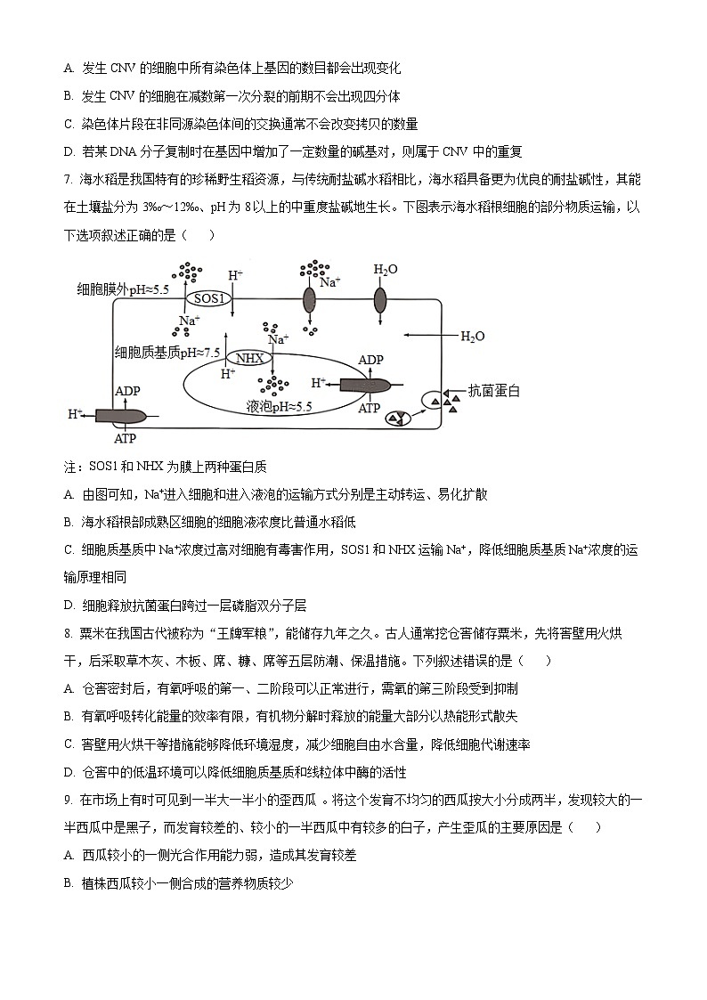 浙江省卓越联盟2023-2024学年高二下学期5月期中生物试题（原卷版+解析版）03