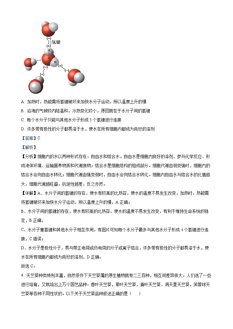 浙江省卓越联盟2023-2024学年高二下学期5月期中生物试题（原卷版+解析版）03