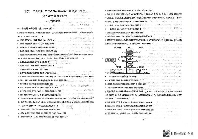 山东省泰安市泰山区泰安第一中学2023-2024学年高二下学期5月月考生物试题第1页