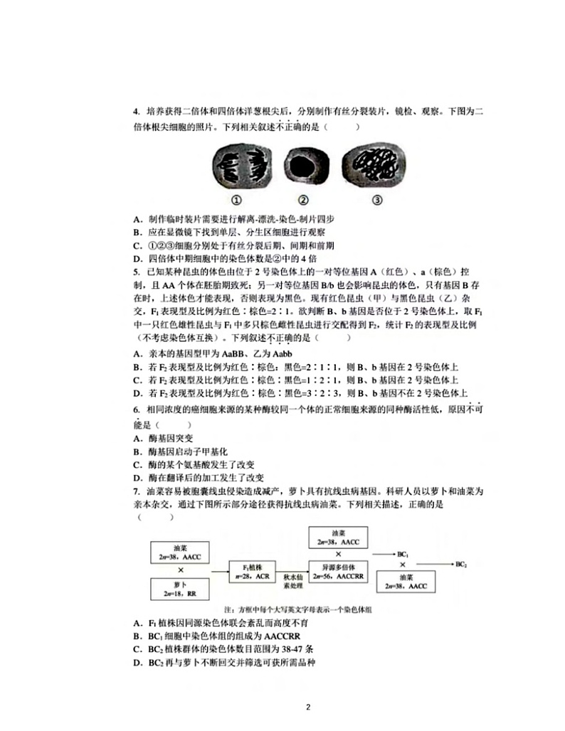 2024北京人大附中高三三模生物试卷及答案第2页