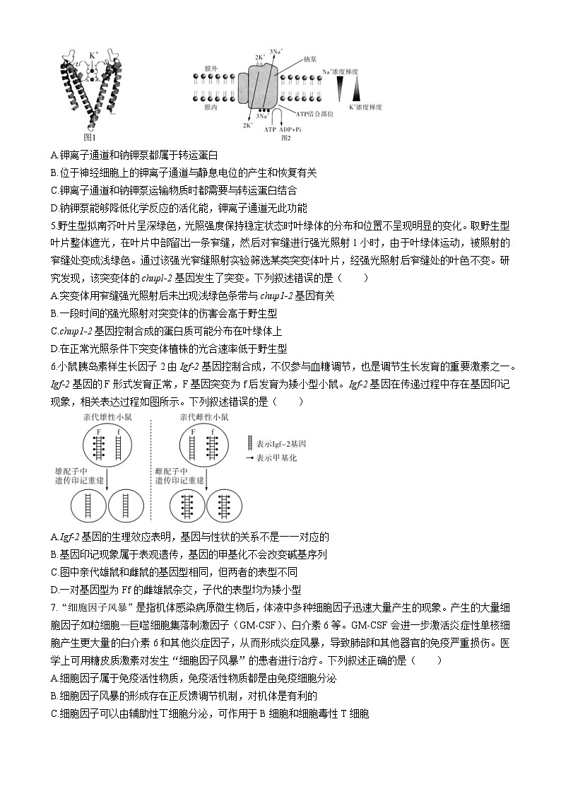 广东省名校教研联盟2023-2024学年高三下学期5月押题考试生物试题（Word版附解析）02