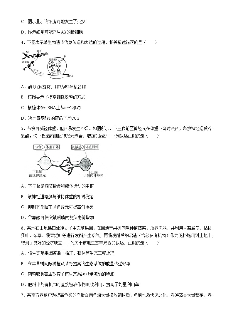 福建省福州第一中学2024届高三下学期5月模拟考试生物试题（Word版附答案）第2页