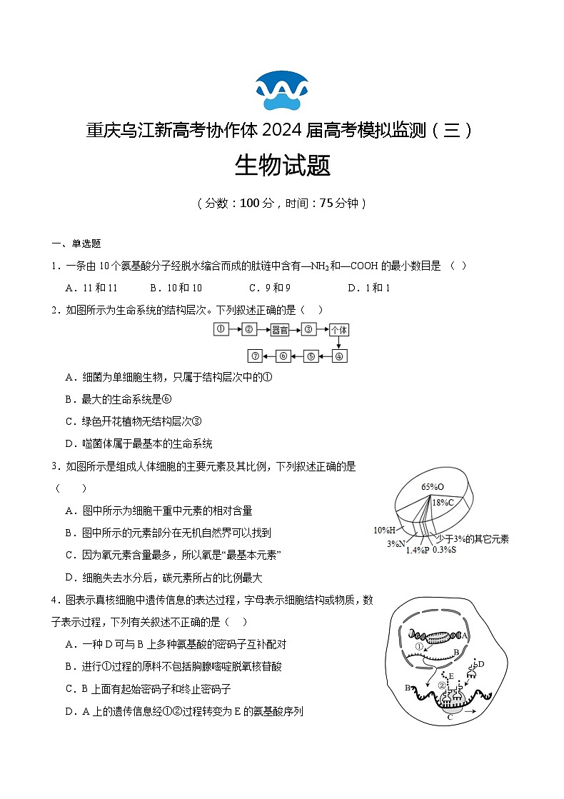 重庆市乌江新高考协作体2024届高三下学期第三次模拟预测生物试题（Word版附答案）01