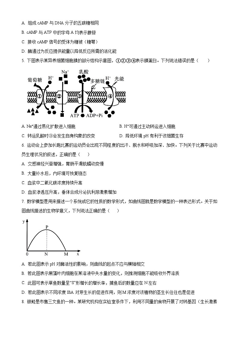 2024宁波镇海中学高三下学期三模生物试题含解析02