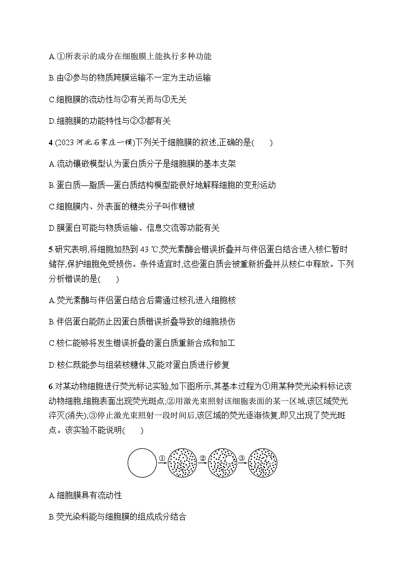 新教材高考生物一轮复习考点规范练5细胞膜的结构和功能、细胞核的结构和功能含答案第2页
