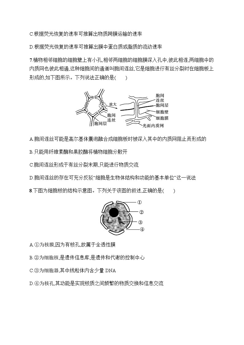 新教材高考生物一轮复习考点规范练5细胞膜的结构和功能、细胞核的结构和功能含答案第3页