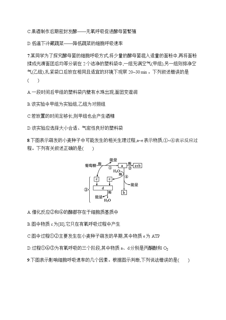 新教材高考生物一轮复习考点规范练9细胞的能量“货币”ATP、细胞呼吸的原理和应用含答案第3页