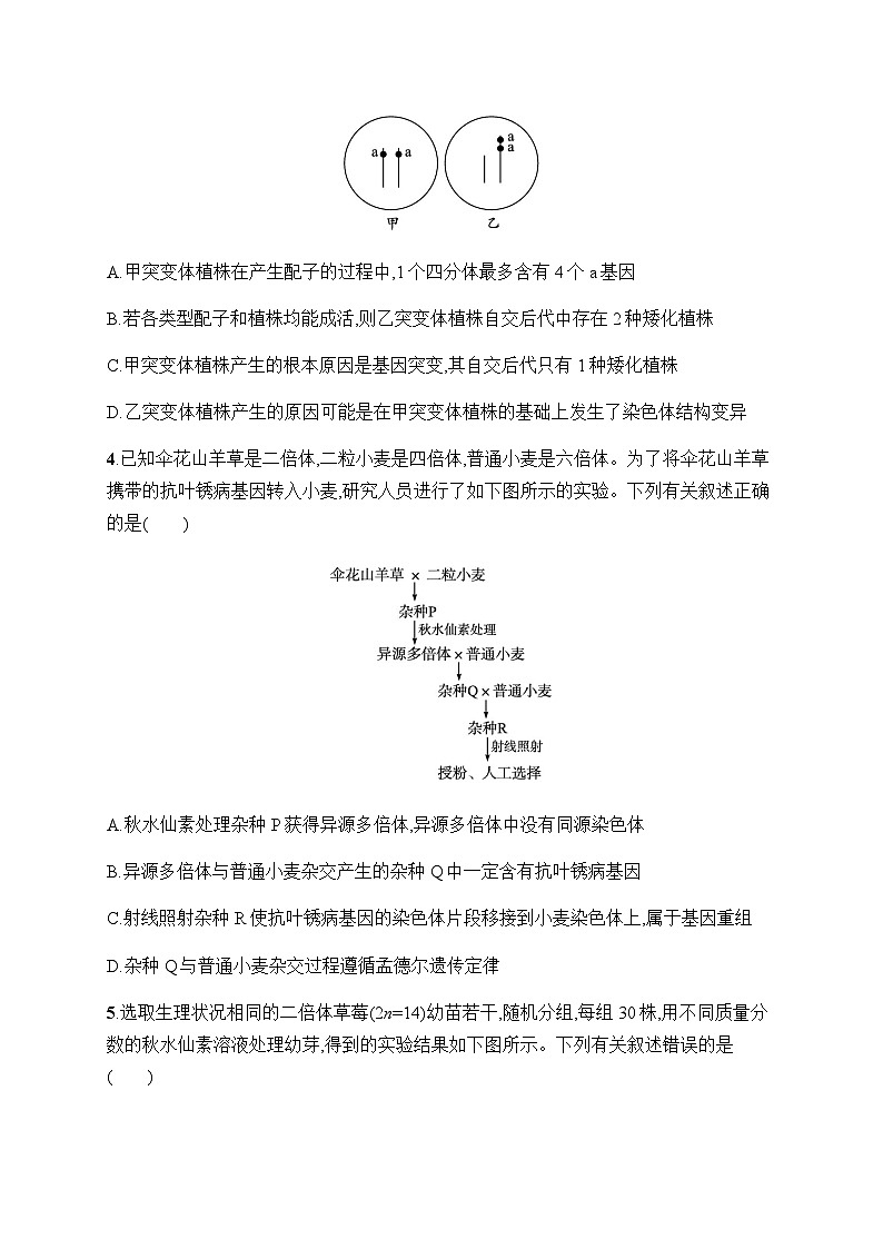 新教材高考生物一轮复习考点规范练22染色体变异含答案第2页