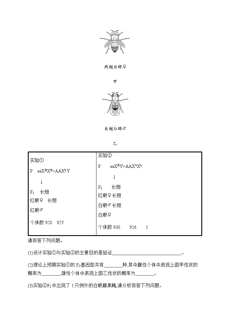 新教材高考生物一轮复习大题专项练2遗传定律和伴性遗传含答案02