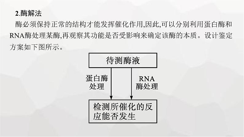 新教材高考生物一轮复习能力素养提升课1酶的相关实验设计课件第6页