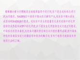 新教材高考生物一轮复习能力素养提升课2光合作用与细胞呼吸的综合分析及应用课件