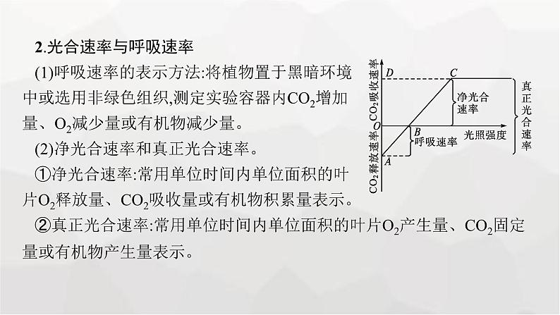 新教材高考生物一轮复习能力素养提升课2光合作用与细胞呼吸的综合分析及应用课件08