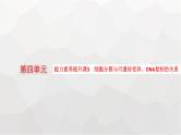 新教材高考生物一轮复习能力素养提升课3细胞分裂与可遗传变异、DNA复制的关系课件