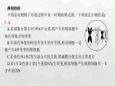新教材高考生物一轮复习能力素养提升课3细胞分裂与可遗传变异、DNA复制的关系课件