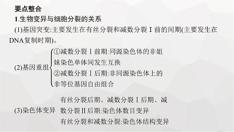 新教材高考生物一轮复习能力素养提升课3细胞分裂与可遗传变异、DNA复制的关系课件04