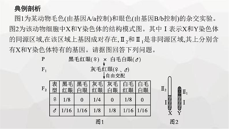 新教材高考生物一轮复习能力素养提升课5基因定位的遗传实验设计与分析课件第2页